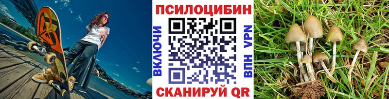 Псилоцибиновые грибы MAGIC MUSHROOMS  МЕГА онион  Новый Уренгой  магазин продажи  